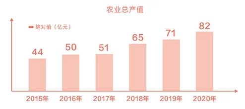 精产一二三产区m553新动态：最新技术应用与市场趋势分析，助力产业升级与可持续发展